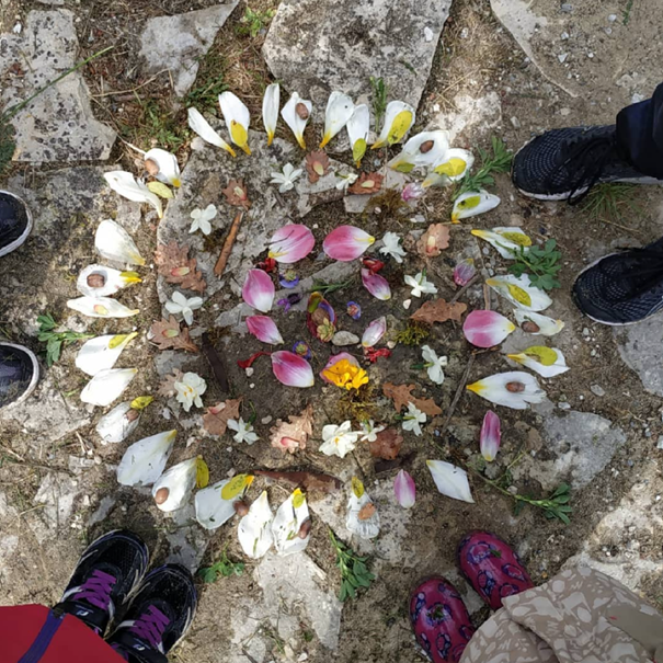 LandArt Bulle de nature