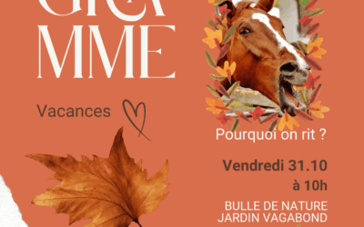 Le programme des vacances avec l’Atelier des Bulles